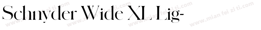 Schnyder Wide XL Lig字体转换